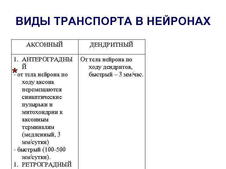 ВИДЫ ТРАНСПОРТА В НЕЙРОНАХ АКСОННЫЙ ДЕНДРИТНЫЙ 1. АНТЕРОГРАДНЫ Й - от тела нейрона по