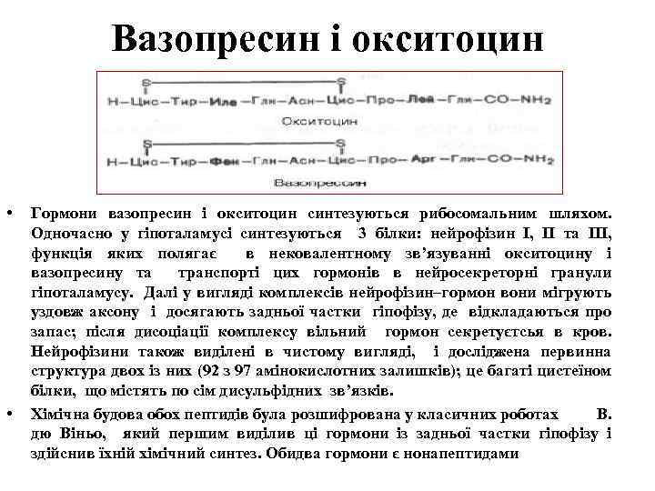 Вазопресин і окситоцин • • Гормони вазопресин і окситоцин синтезуються рибосомальним шляхом. Одночасно у