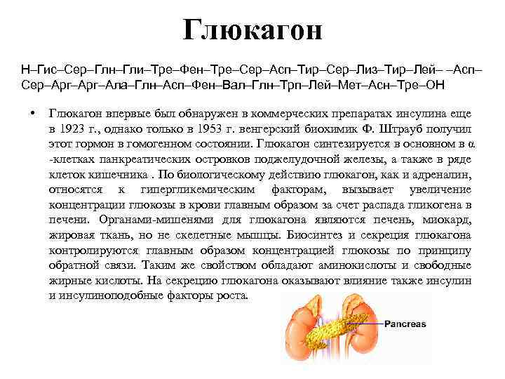 Глюкагон Н–Гис–Сер–Глн–Гли–Тре–Фен–Тре–Сер–Асп–Тир–Сер–Лиз–Тир–Лей– –Асп– Сер–Aрг–Ала–Глн–Асп–Фен–Вал–Глн–Трп–Лей–Мет–Асн–Тре–ОН • Глюкагон впервые был обнаружен в коммерческих препаратах инсулина еще