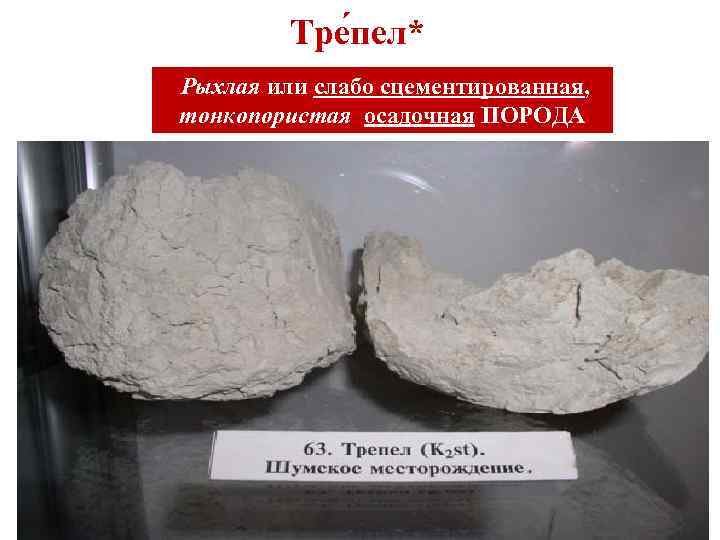    Тре пел* Рыхлая или слабо сцементированная,  тонкопористая осадочная ПОРОДА 