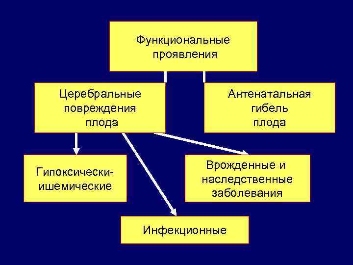 Функциональные проявления Церебральные повреждения плода Гипоксическиишемические Антенатальная гибель плода Врожденные и наследственные заболевания Инфекционные