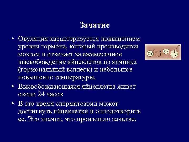 Зачатие • Овуляция характеризуется повышением уровня гормона, который производится мозгом и отвечает за ежемесячное