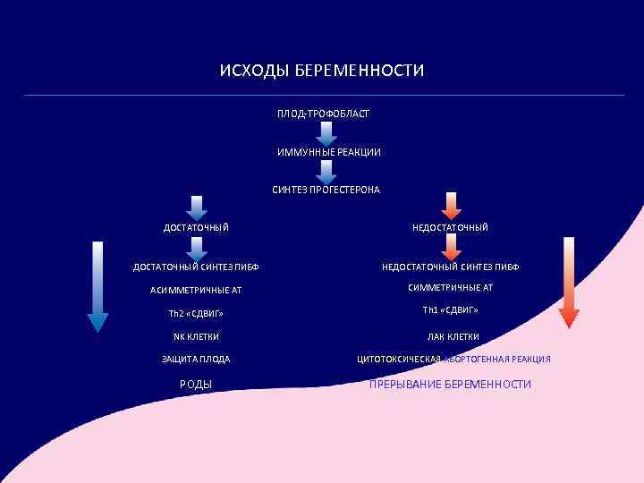 ИСХОДЫ БЕРЕМЕННОСТИ ПЛОД-ТРОФОБЛАСТ ИММУННЫЕ РЕАКЦИИ СИНТЕЗ ПРОГЕСТЕРОНА ДОСТАТОЧНЫЙ НЕДОСТАТОЧНЫЙ СИНТЕЗ ПИБФ АСИММЕТРИЧНЫЕ АТ Тh