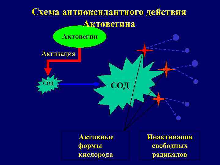 Схема антиоксидантного действия Актовегина Актовегин Активация СОД Активные формы кислорода Инактивация свободных радикалов 