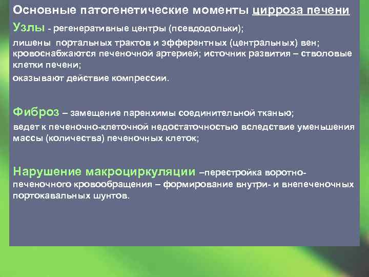 Основные патогенетические моменты цирроза печени Узлы - регенеративные центры (псевдодольки); лишены портальных трактов и