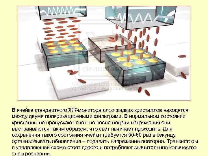 В ячейке стандартного ЖК-монитора слои жидких кристаллов находятся между двумя поляризационными фильтрами. В нормальном