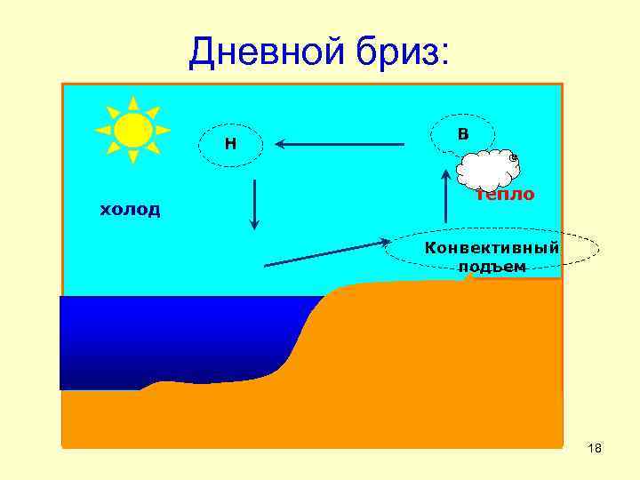 Дневной бриз: Н холод В тепло Конвективный подъем 18 