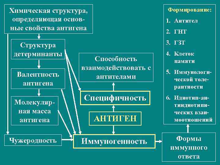 Формирование: Химическая структура, определяющая основные свойства антигена Структура детерминанты Валентность антигена Молекулярная масса антигена