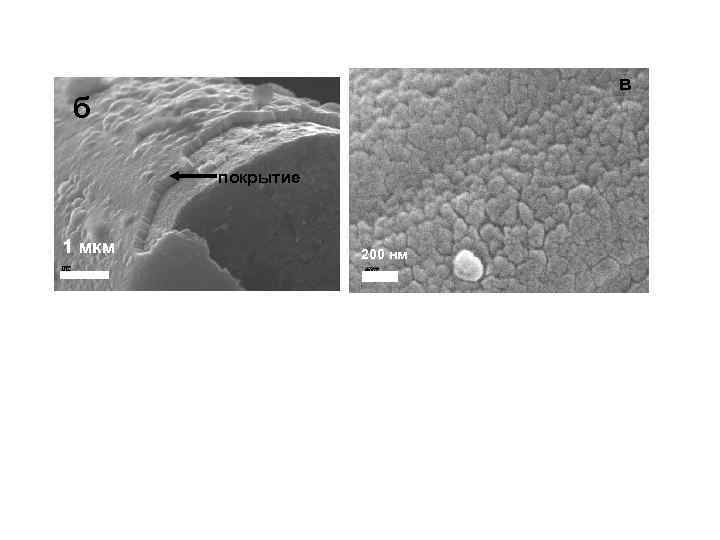 в б покрытие 1 мкм 200 нм 