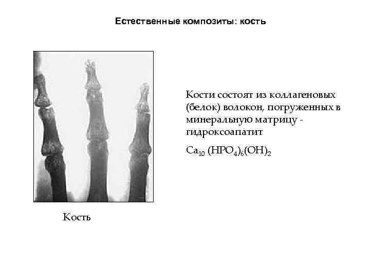 Естественные композиты: кость Кости состоят из коллагеновых (белок) волокон, погруженных в минеральную матрицу гидроксоапатит