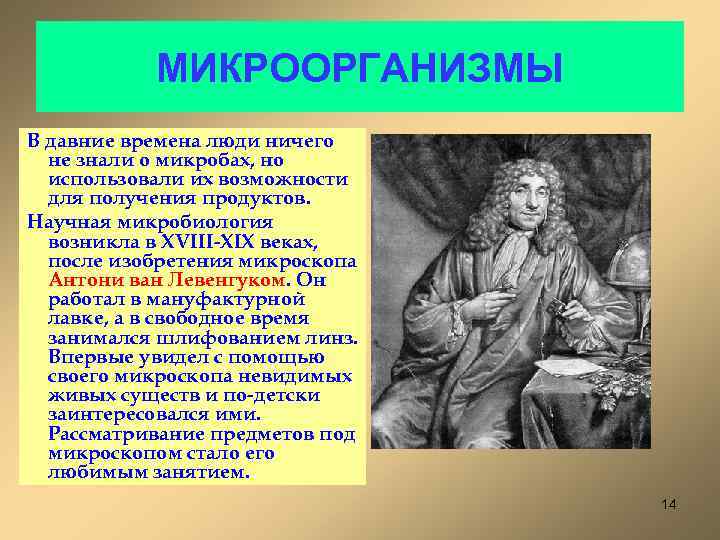 МИКРООРГАНИЗМЫ В давние времена люди ничего не знали о микробах, но использовали их возможности