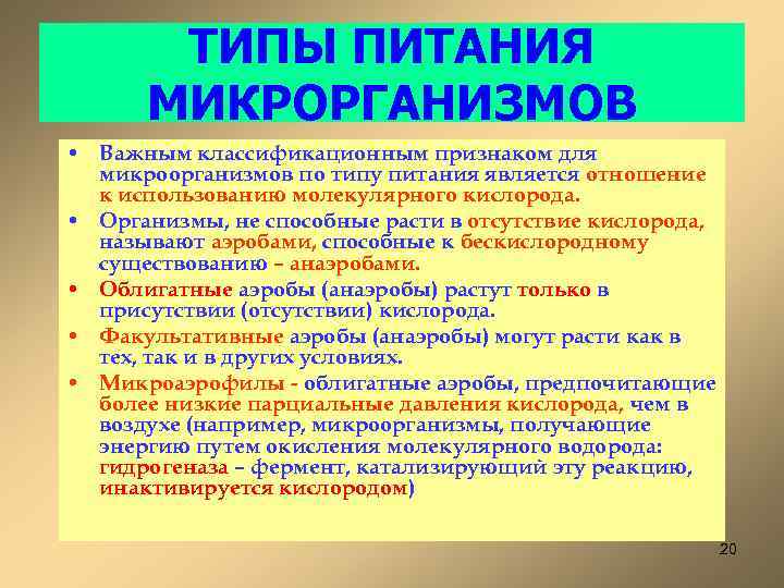 ТИПЫ ПИТАНИЯ МИКРОРГАНИЗМОВ • Важным классификационным признаком для микроорганизмов по типу питания является отношение