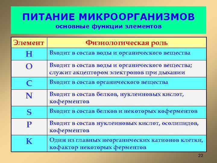 ПИТАНИЕ МИКРООРГАНИЗМОВ основные функции элементов Элемент Физиологическая роль H О Входит в состав воды