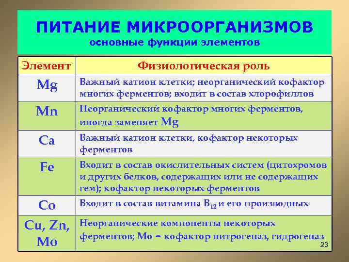 ПИТАНИЕ МИКРООРГАНИЗМОВ основные функции элементов Элемент Физиологическая роль Mg Важный катион клетки; неорганический кофактор