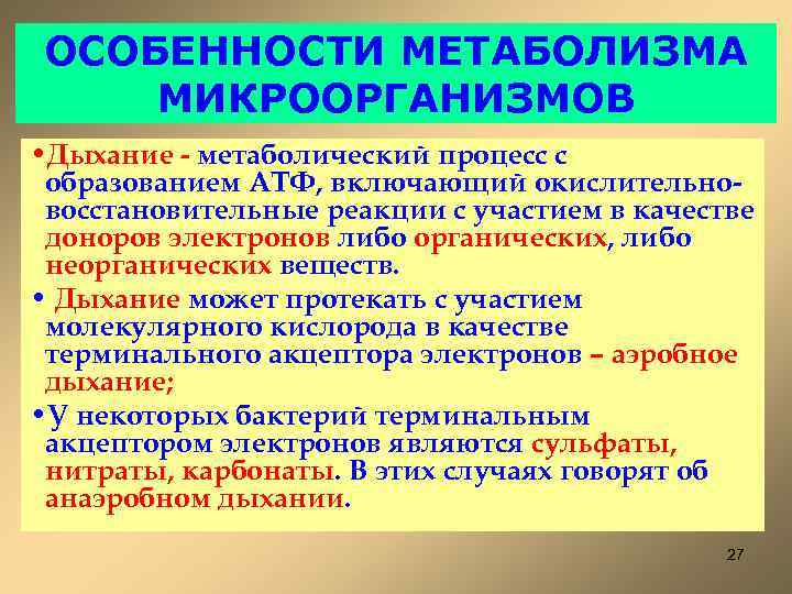 Обмен веществ у бактерий. Энергетический метаболизм микроорганизмов. Особенности обмена веществ у микроорганизмов. Энергетический метаболизм бактерий. Особенности метаболизма бактерий.