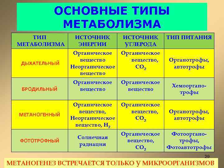 ОСНОВНЫЕ ТИПЫ МЕТАБОЛИЗМА ТИП МЕТАБОЛИЗМА ИСТОЧНИК ЭНЕРГИИ ИСТОЧНИК УГЛЕРОДА ДЫХАТЕЛЬНЫЙ Органическое вещество Неорганическое вещество