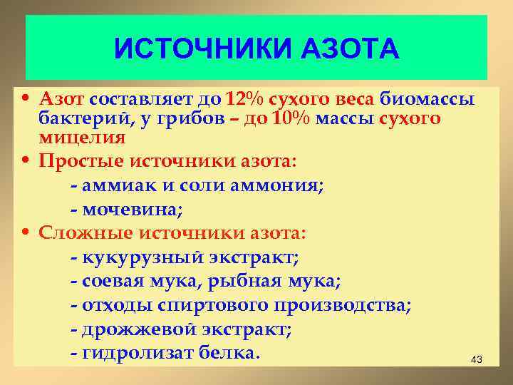 ИСТОЧНИКИ АЗОТА • Азот составляет до 12% сухого веса биомассы бактерий, у грибов –