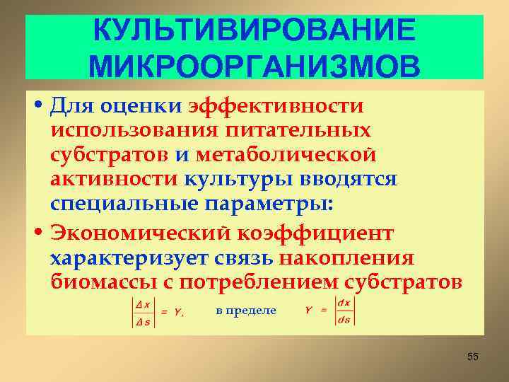 КУЛЬТИВИРОВАНИЕ МИКРООРГАНИЗМОВ • Для оценки эффективности использования питательных субстратов и метаболической активности культуры вводятся
