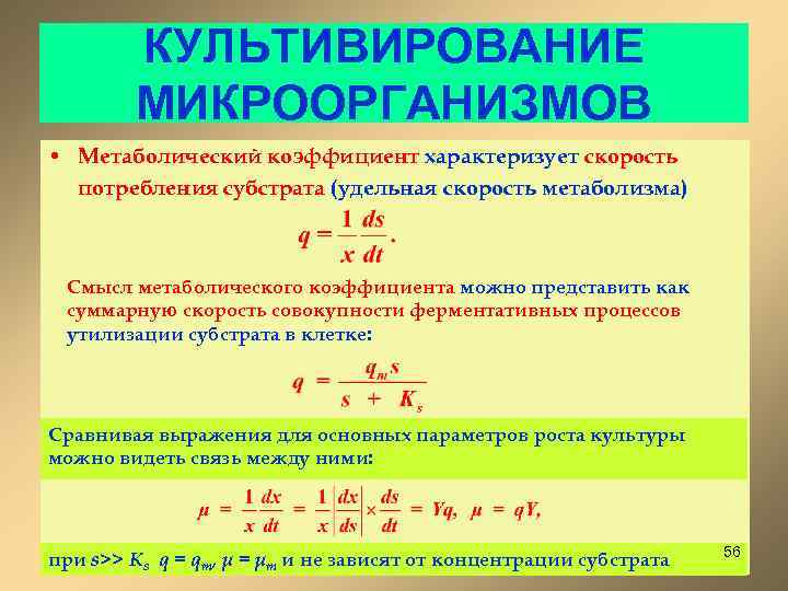КУЛЬТИВИРОВАНИЕ МИКРООРГАНИЗМОВ • Метаболический коэффициент характеризует скорость потребления субстрата (удельная скорость метаболизма) Смысл метаболического