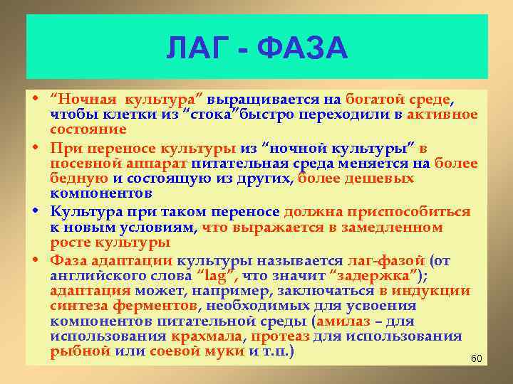 ЛАГ - ФАЗА • “Ночная культура” выращивается на богатой среде, чтобы клетки из “стока”быстро