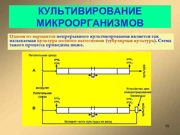 КУЛЬТИВИРОВАНИЕ МИКРООРГАНИЗМОВ Одним из вариантов непрерывного культивирования является так называемая культура полного вытеснения (тубулярная
