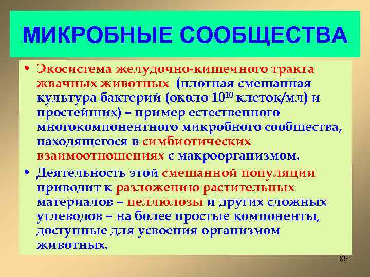 МИКРОБНЫЕ СООБЩЕСТВА • Экосистема желудочно-кишечного тракта жвачных животных (плотная смешанная культура бактерий (около 1010