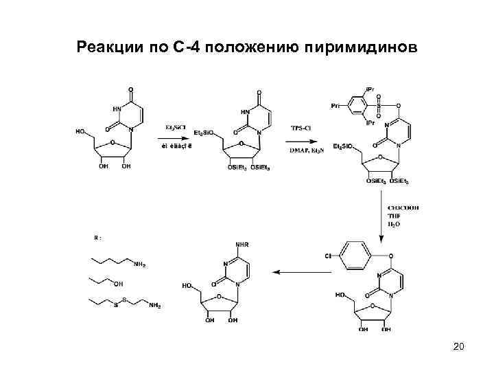 Реакции по С-4 положению пиримидинов 20 