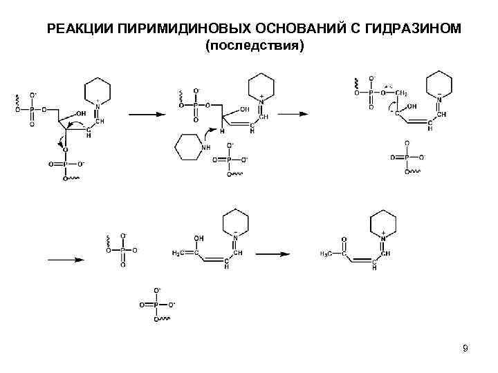 РЕАКЦИИ ПИРИМИДИНОВЫХ ОСНОВАНИЙ C ГИДРАЗИНОМ (последствия) 9 