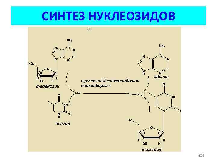 СИНТЕЗ НУКЛЕОЗИДОВ 108 