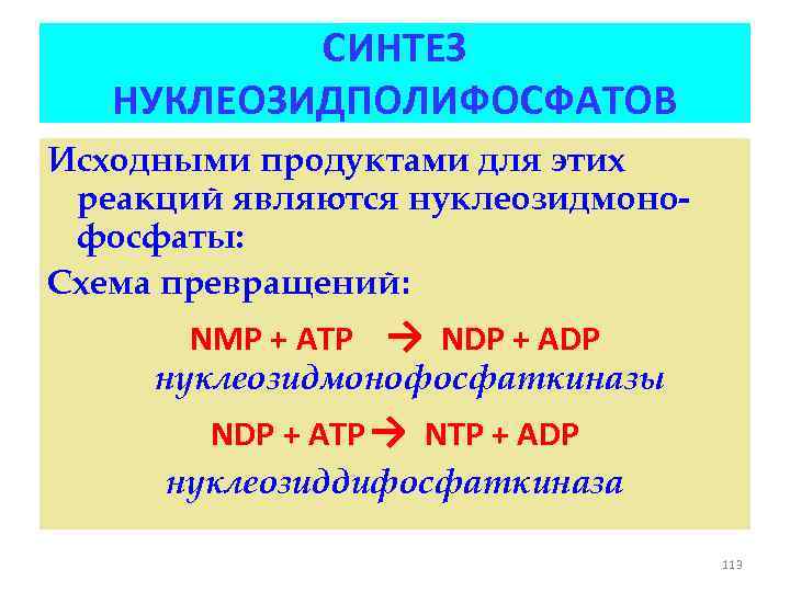 СИНТЕЗ НУКЛЕОЗИДПОЛИФОСФАТОВ Исходными продуктами для этих реакций являются нуклеозидмонофосфаты: Схема превращений: NMP + ATP