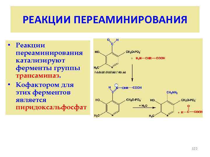 Трансаминазы