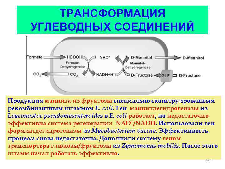 Инженерная энзимология презентация