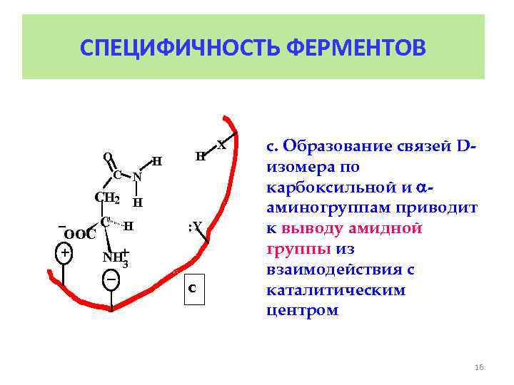 Инженерная энзимология презентация