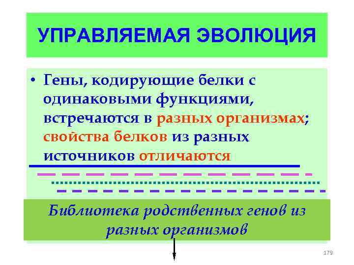 УПРАВЛЯЕМАЯ ЭВОЛЮЦИЯ • Гены, кодирующие белки с одинаковыми функциями, встречаются в разных организмах; свойства