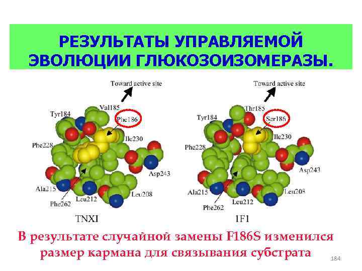 Инженерная энзимология презентация