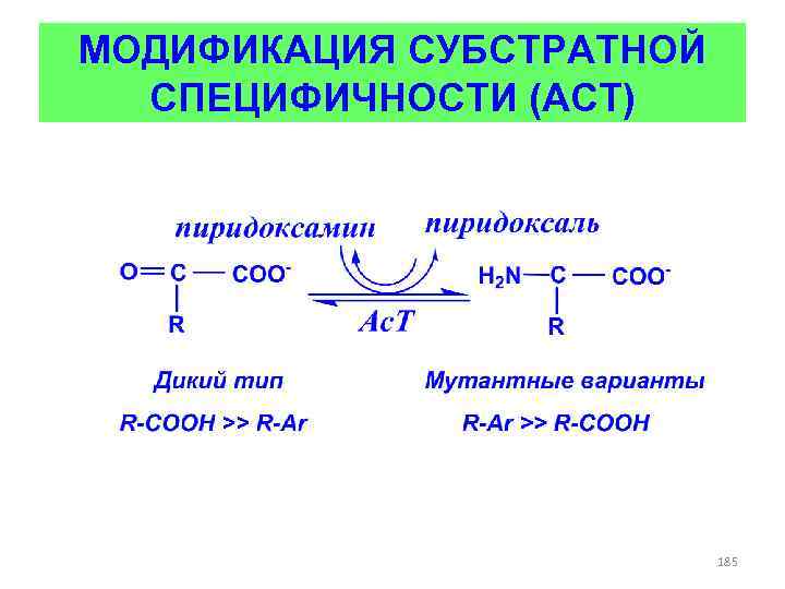 МОДИФИКАЦИЯ СУБСТРАТНОЙ СПЕЦИФИЧНОСТИ (АСТ) 185 