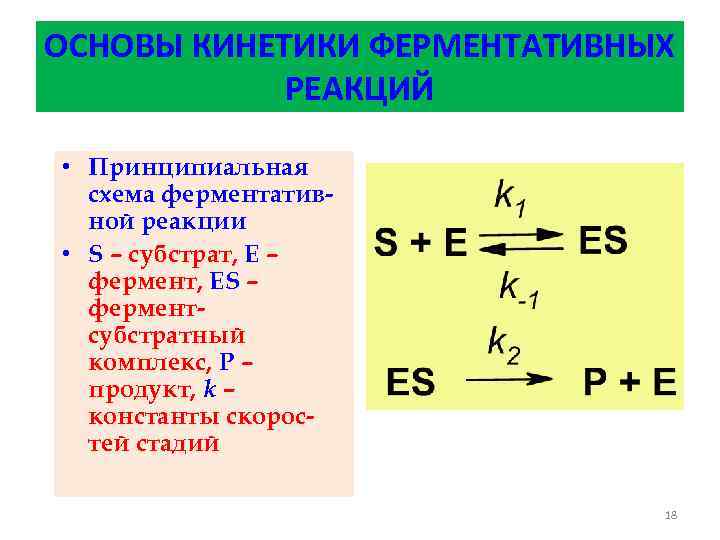 Презентация кинетика ферментативных реакций