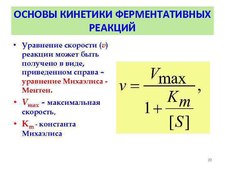 ОСНОВЫ КИНЕТИКИ ФЕРМЕНТАТИВНЫХ РЕАКЦИЙ • Уравнение скорости (v) реакции может быть получено в виде,