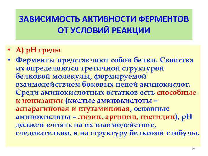 ЗАВИСИМОСТЬ АКТИВНОСТИ ФЕРМЕНТОВ ОТ УСЛОВИЙ РЕАКЦИИ • А) р. Н среды • Ферменты представляют