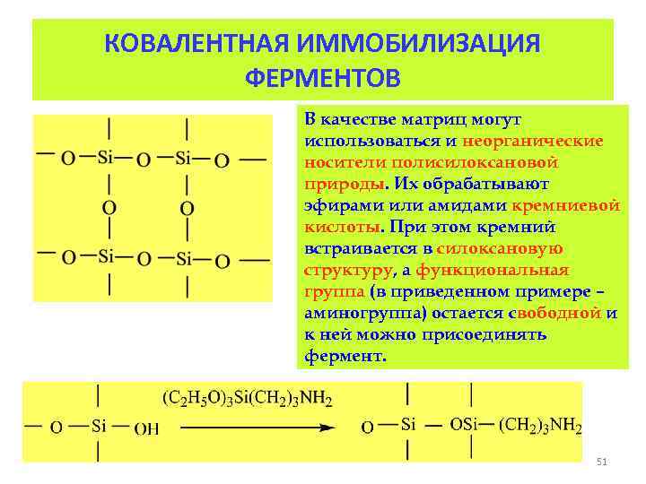 КОВАЛЕНТНАЯ ИММОБИЛИЗАЦИЯ ФЕРМЕНТОВ В качестве матриц могут использоваться и неорганические носители полисилоксановой природы. Их