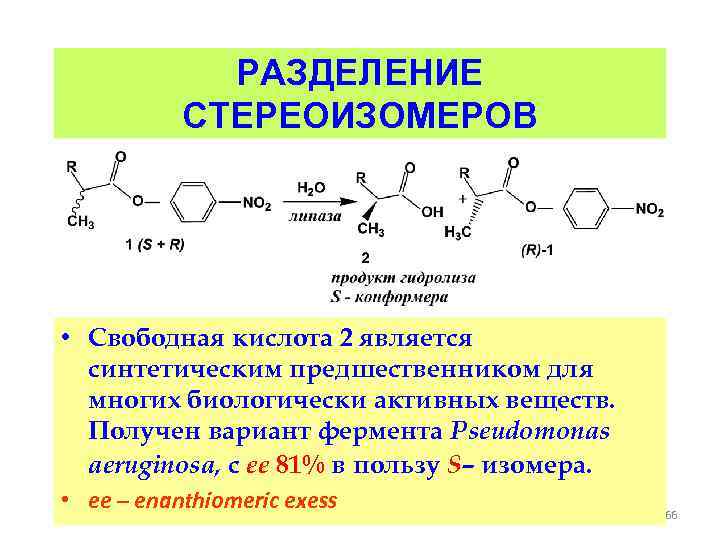 Свободная кислота. Стереоизомеры масляной кислоты. Стереоизомеров примеры ферментов. Стереоизомеры непредельных кислот. Биологическая активность стереоизомеров.