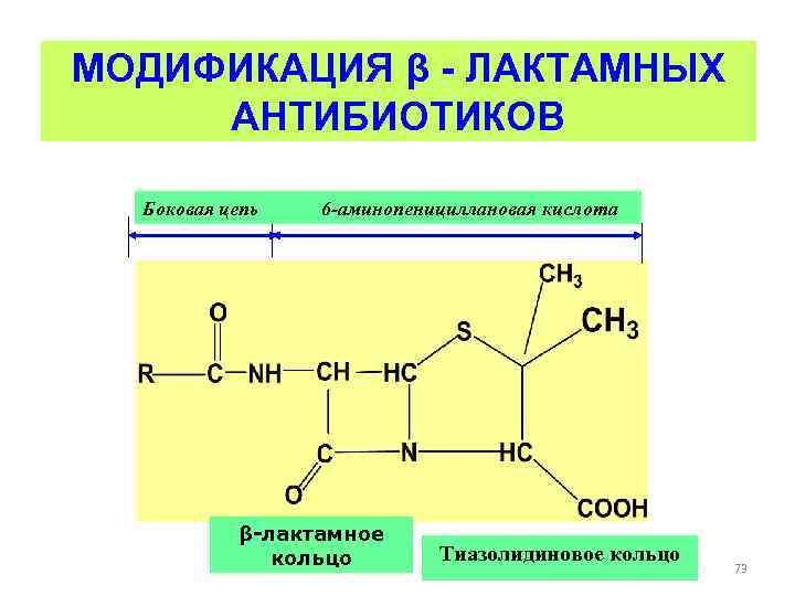 МОДИФИКАЦИЯ β - ЛАКТАМНЫХ АНТИБИОТИКОВ Боковая цепь 6 -аминопенициллановая кислота β-лактамное кольцо Тиазолидиновое кольцо