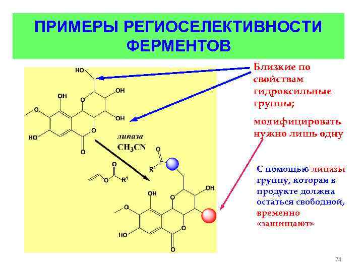 ПРИМЕРЫ РЕГИОСЕЛЕКТИВНОСТИ ФЕРМЕНТОВ Близкие по свойствам гидроксильные группы; модифицировать нужно лишь одну С помощью