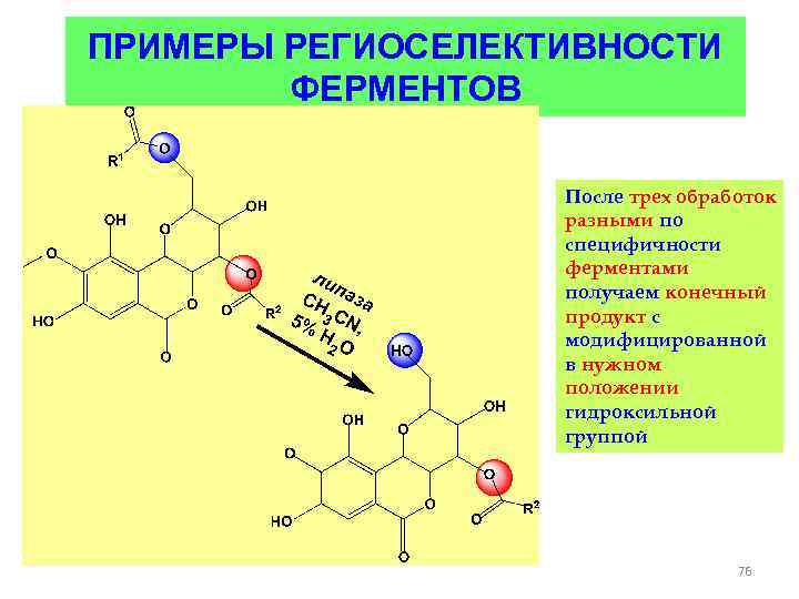 ПРИМЕРЫ РЕГИОСЕЛЕКТИВНОСТИ ФЕРМЕНТОВ После трех обработок разными по специфичности ферментами получаем конечный продукт с