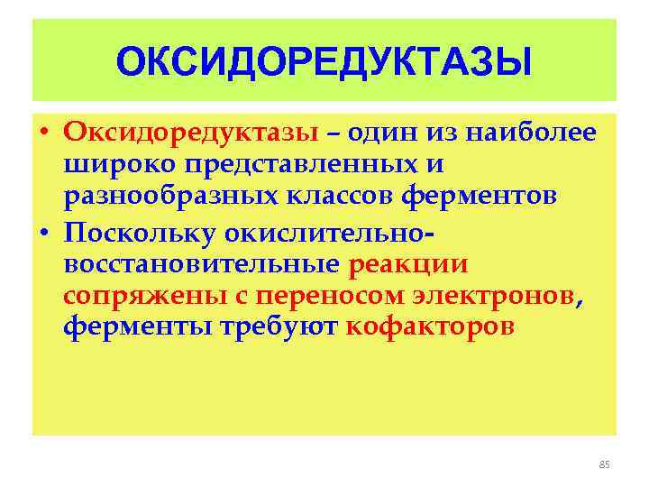 ОКСИДОРЕДУКТАЗЫ • Оксидоредуктазы – один из наиболее широко представленных и разнообразных классов ферментов •