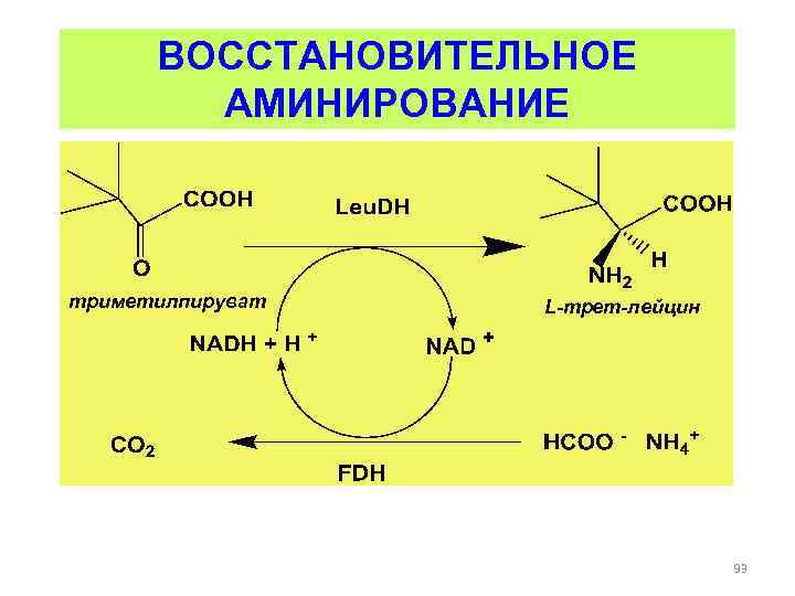 ВОССТАНОВИТЕЛЬНОЕ АМИНИРОВАНИЕ триметилпируват L-трет-лейцин 93 