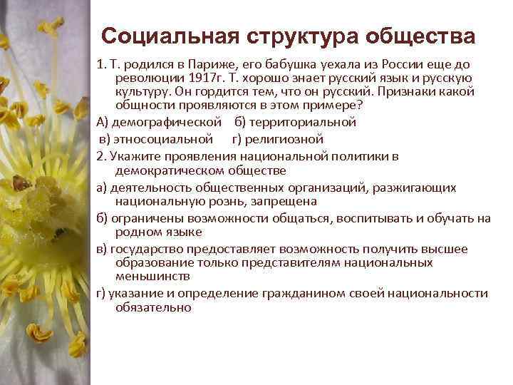 Социальная структура общества 1. Т. родился в Париже, его бабушка уехала из России еще