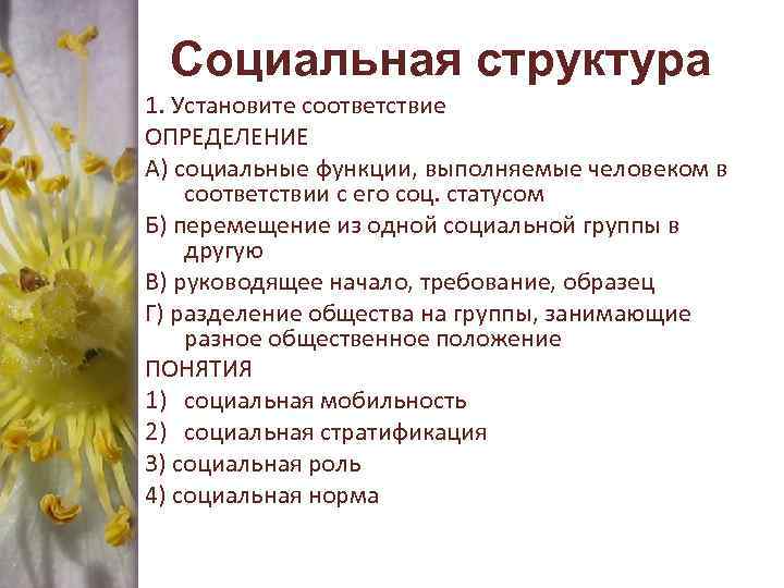 Социальная структура 1. Установите соответствие ОПРЕДЕЛЕНИЕ А) социальные функции, выполняемые человеком в соответствии с