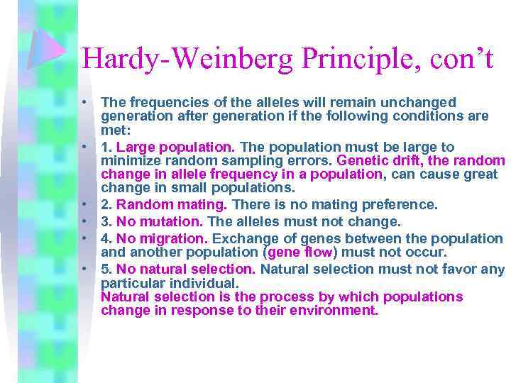 Hardy-Weinberg Principle, con’t • The frequencies of the alleles will remain unchanged generation after