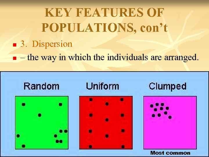 KEY FEATURES OF POPULATIONS, con’t n n 3. Dispersion – the way in which
